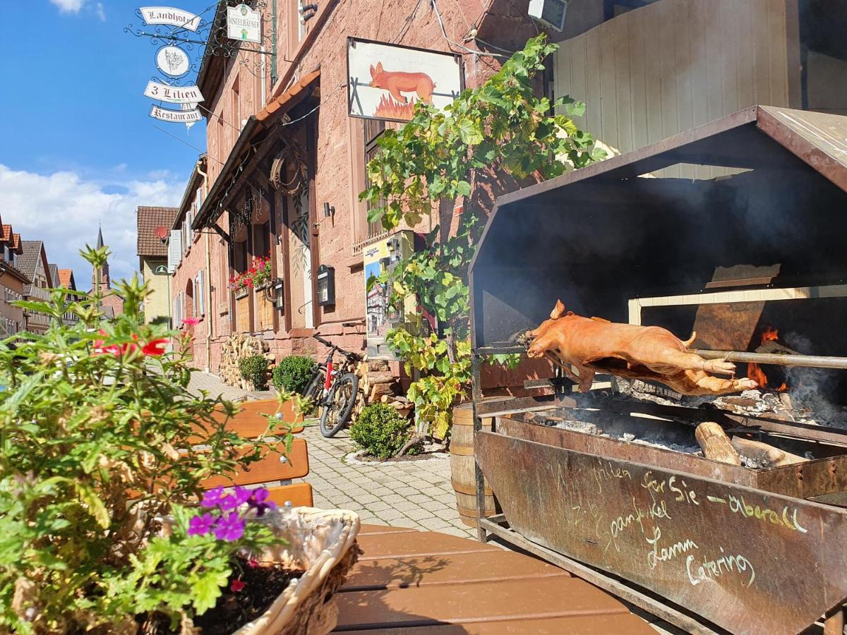 Gasthaus & Hotel Drei Lilien 베르바크 외부 사진